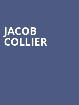 Jacob Collier, Skyla Credit Union Amphitheatre, Charlotte