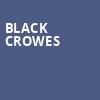 Black Crowes, Ovens Auditorium, Charlotte