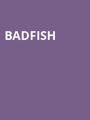 Badfish, Amos Southend, Charlotte