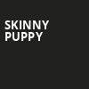 Skinny Puppy, Fillmore Charlotte, Charlotte